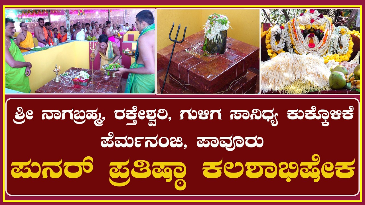 Pavoor|ಶ್ರೀ ನಾಗಬ್ರಹ್ಮ, ರಕ್ತೇಶ್ವರಿ, ಗುಳಿಗ ಸಾನಿಧ್ಯ ಕುಕ್ಕೊಳಿಕೆ-ಪುನರ್ ಪ್ರತಿಷ್ಠಾ ಕಲಶಾಭಿಷೇಕ