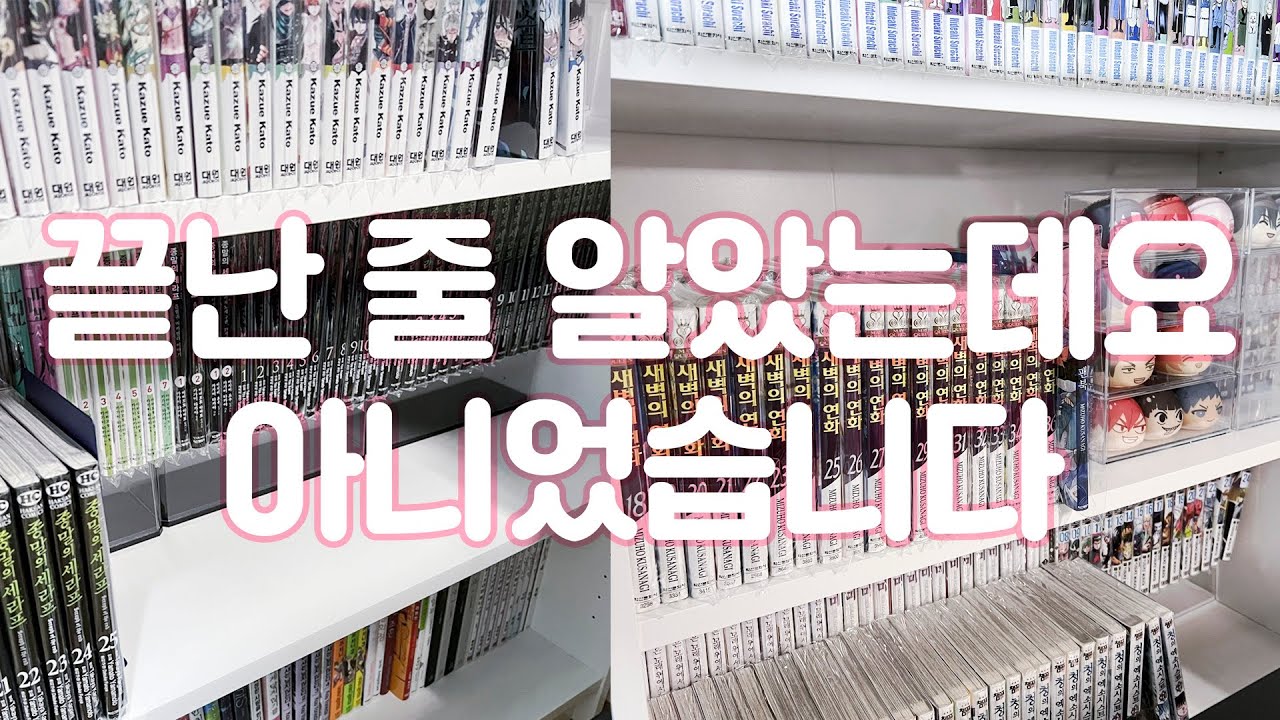 vlog. 만화책장 정리 마무리하며 수다 떨기(*☌ᴗ☌)｡*ﾟ
