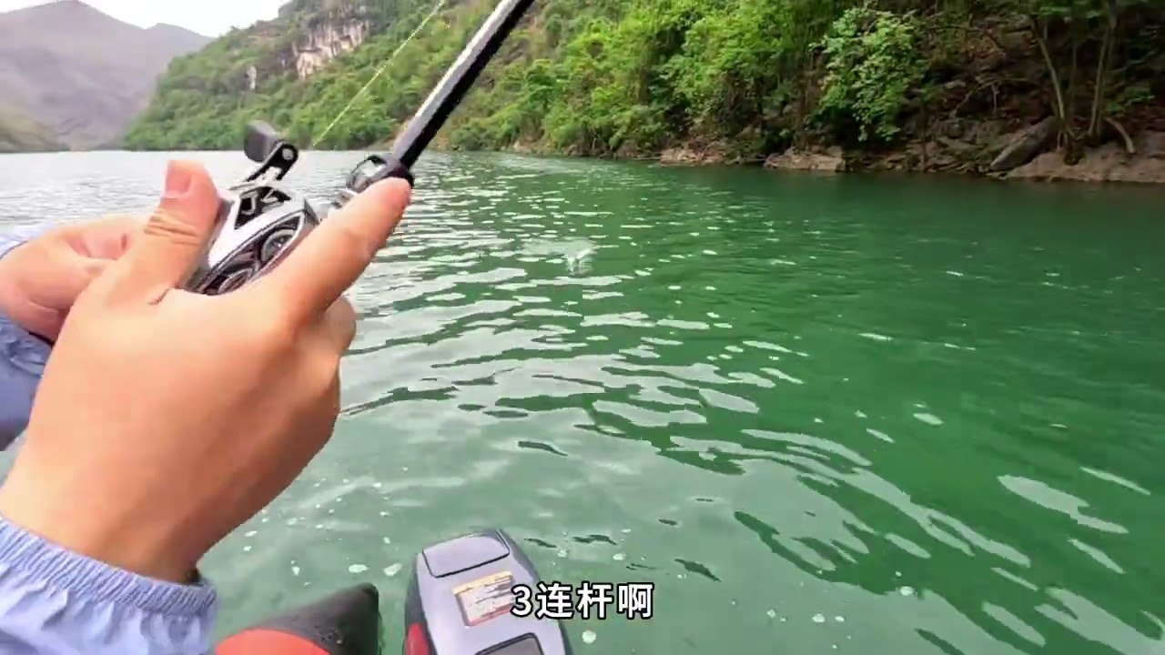 跳弟与江姐联合出手 北盘江的鱼如此轻松 兄弟们去看看她草鱼是怎么上起来的 @江一雁（爱钓鱼的小姐姐） 