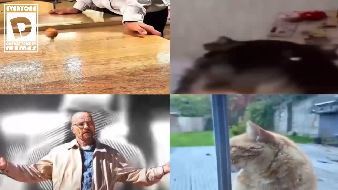 You don’t have enough eyes to watch this 3