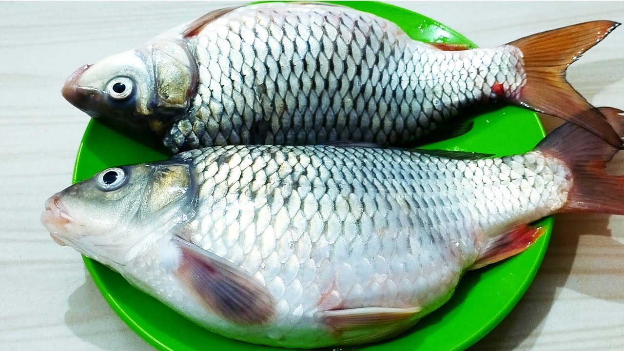 Karfiu macher recipe সুস্বাদু কার্ফু মাছের রেসিপি