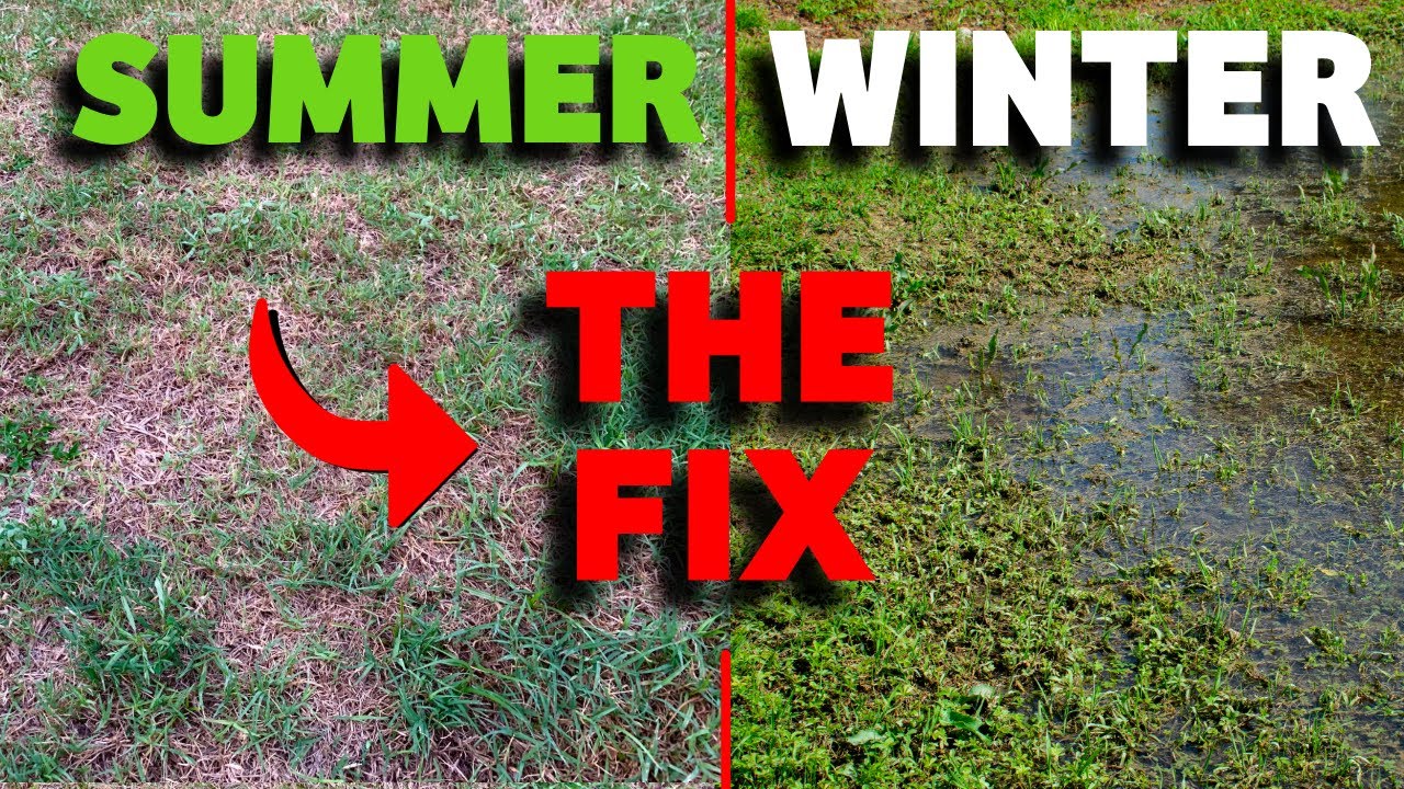 Does your lawn always flood in the winter but dries summer?