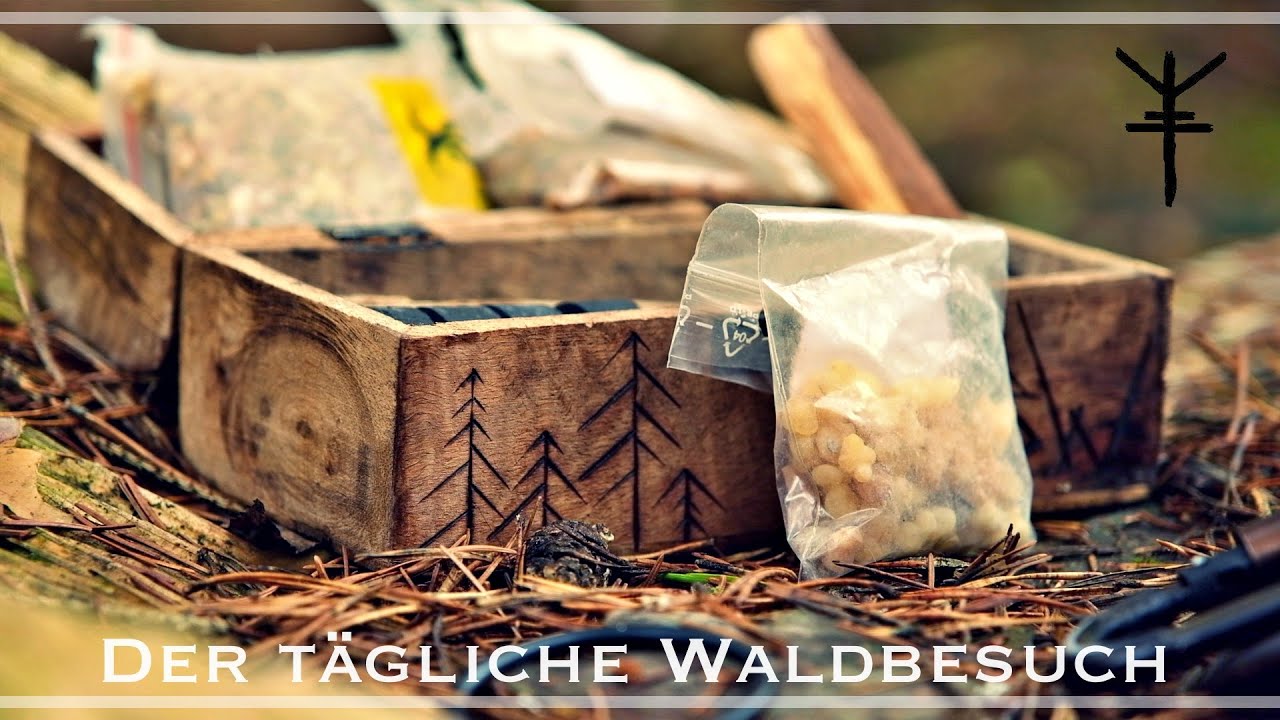In der Summe zählen die Waldbesuche - Wald bringt dich zurück -