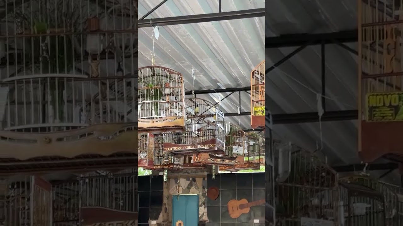 CANTO E FIBRA est&aacute; ao vivo!