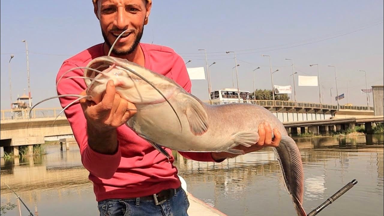 معركه مع وحوش القراميط الكبيره