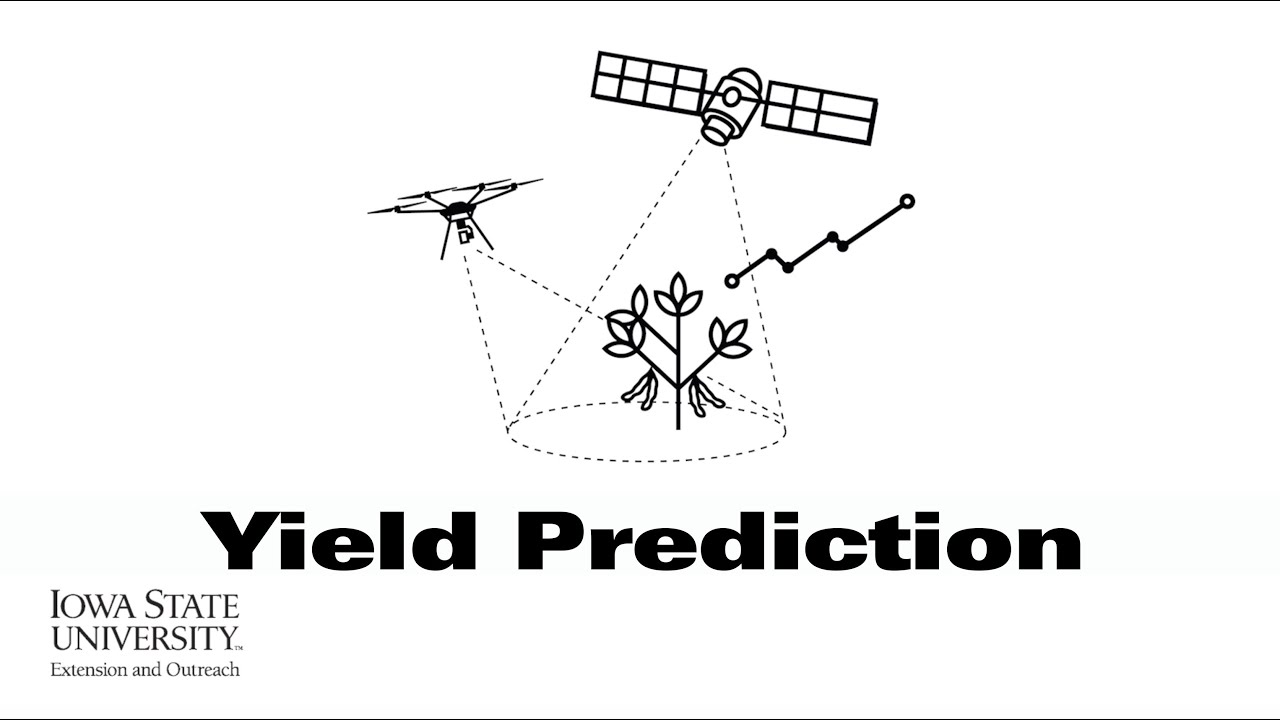 Soynomics: Yield Prediction | (When Scientists Team with Engineers)