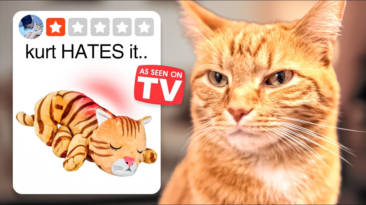 Trying Every 'As Seen On TV' Cat Product