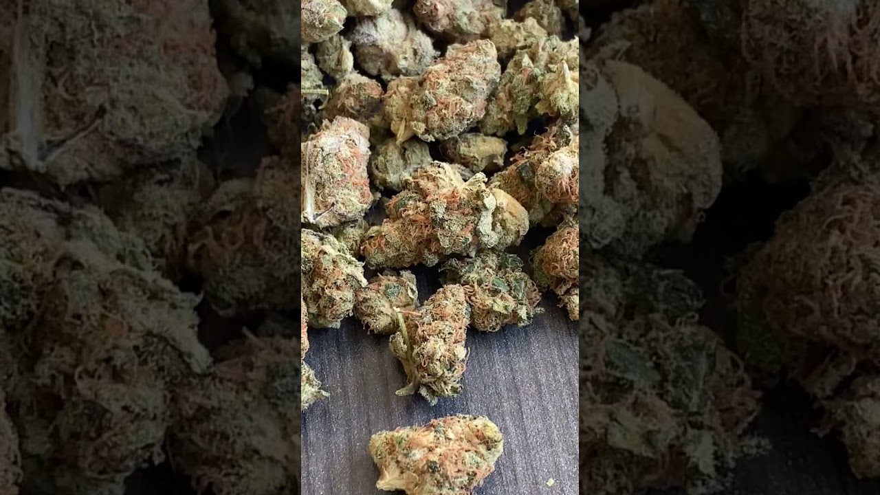 quick look at cactus breath by tapletop