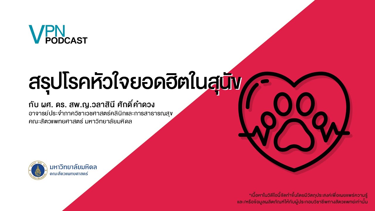 VPN Podcast EP.16 - สรุปโรคหัวใจยอดฮิตในสุนัข