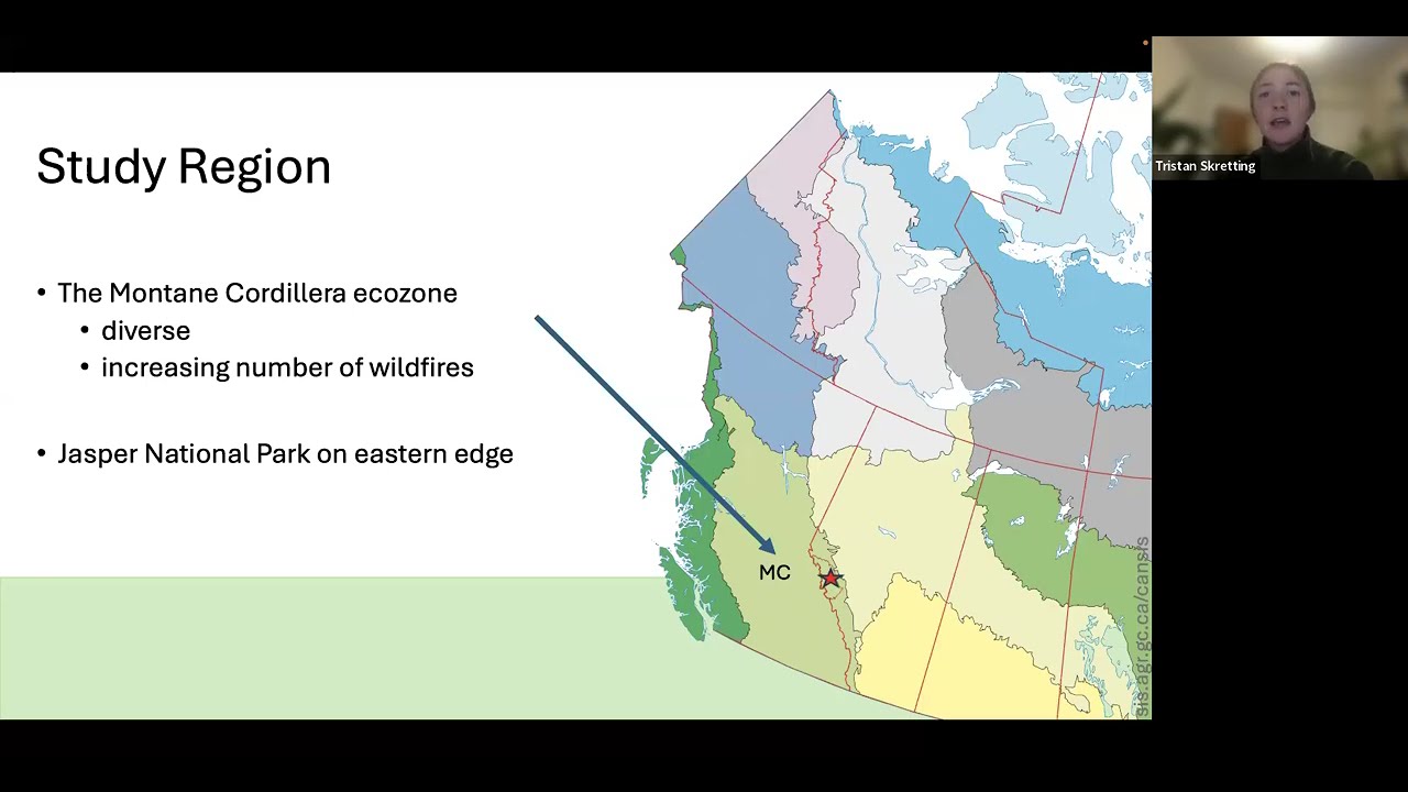 Fuel distributions in Jasper National Park before the Wildfire Complex: MPB and 20 yrs of FireSmart