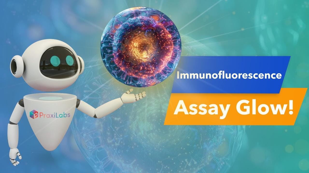 Immunofluorescence assay (IFA) - Immunology Virtual Lab l PraxiLabs