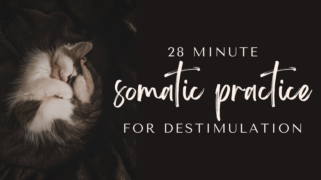 28 Minute Somatic Practice for Destimulation