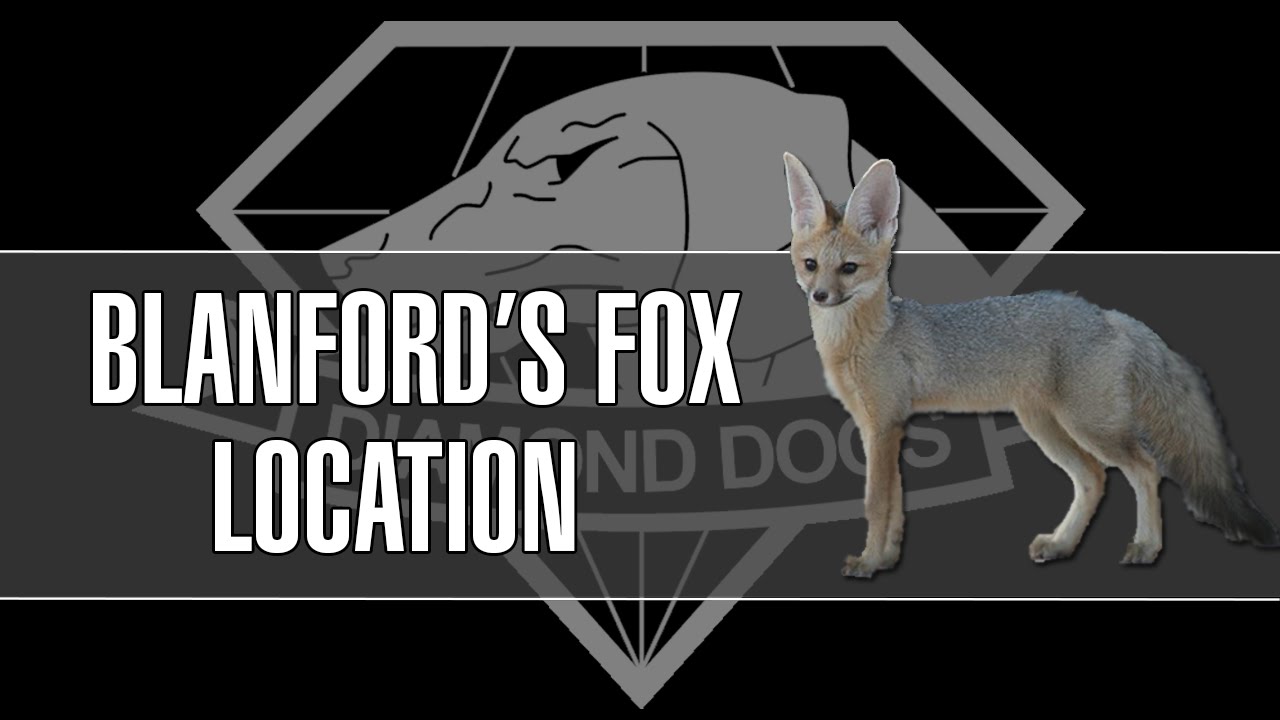 Metal Gear Solid V : The Phantom Pain - Blanford's Fox Location