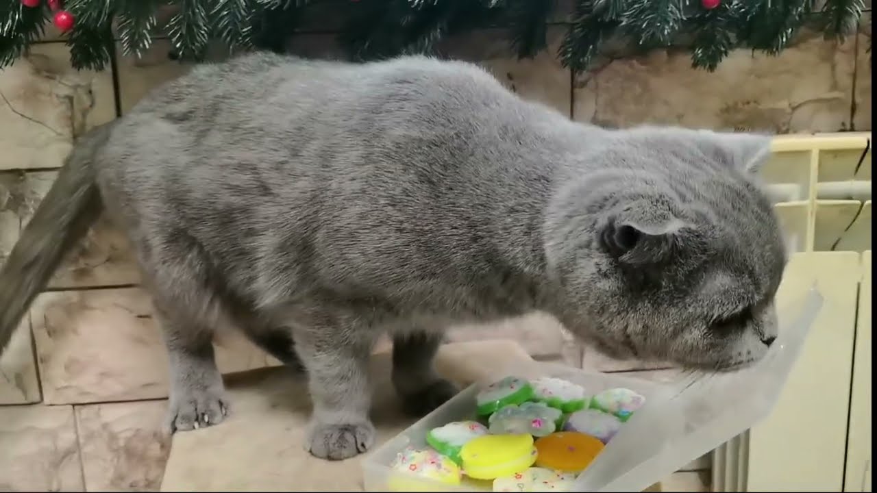 Распаковка сквишей от подписчицы-сестры!!! Кошечка Неся