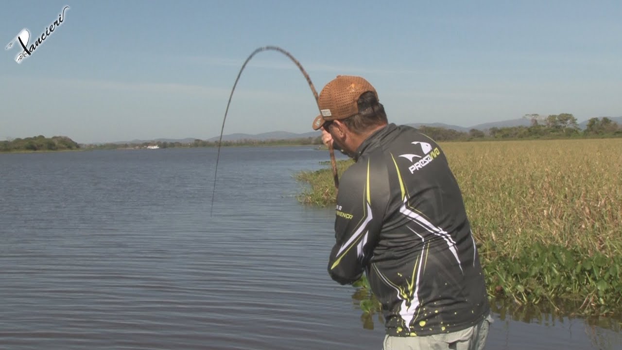 PESCA DE MANDI, COM VARA DE BAMBU PANTANAL