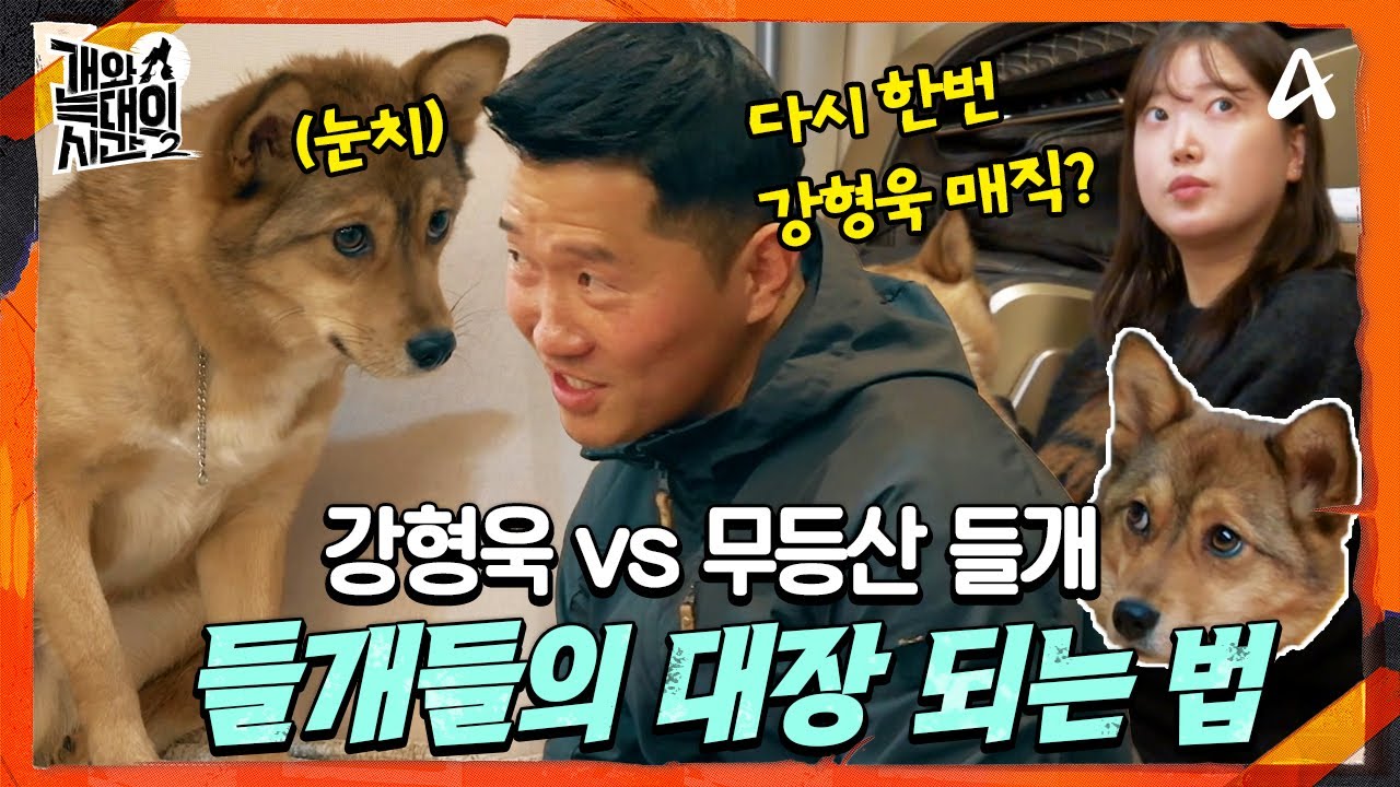 [#개와늑대의시간2] 강형욱 vs 무등산 들개, 들개들의 대장이 되는 방법💪 | 개와 늑대의 시간 시즌2 3회
