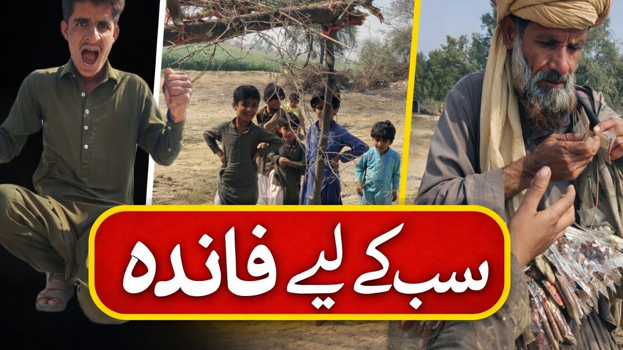 Yeh sab ke liye faida-mand sabit hotay hain!  یہ سب کے لیے فائدہ مند ثابت ہوتے ہیں