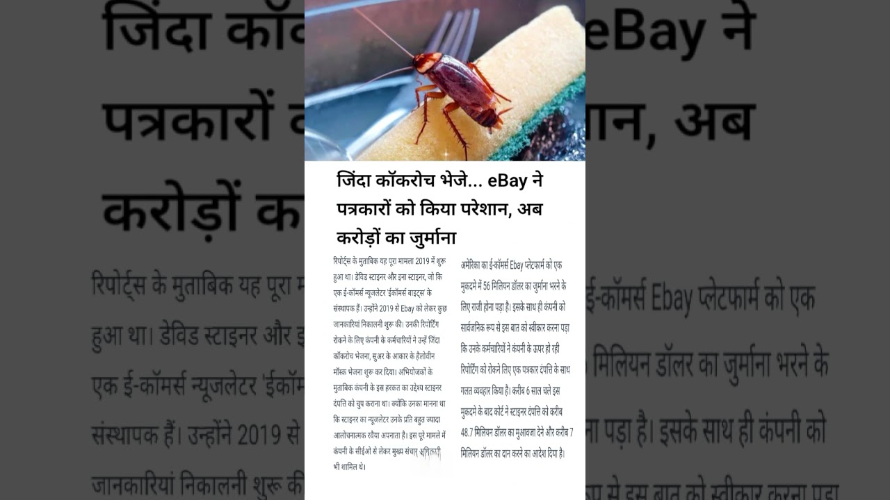 पत्रकारों को परेशान करने के लिए भेजे थे जिंदाकॉकरोच #कॉकरोज #न्यूज #viral #shorts