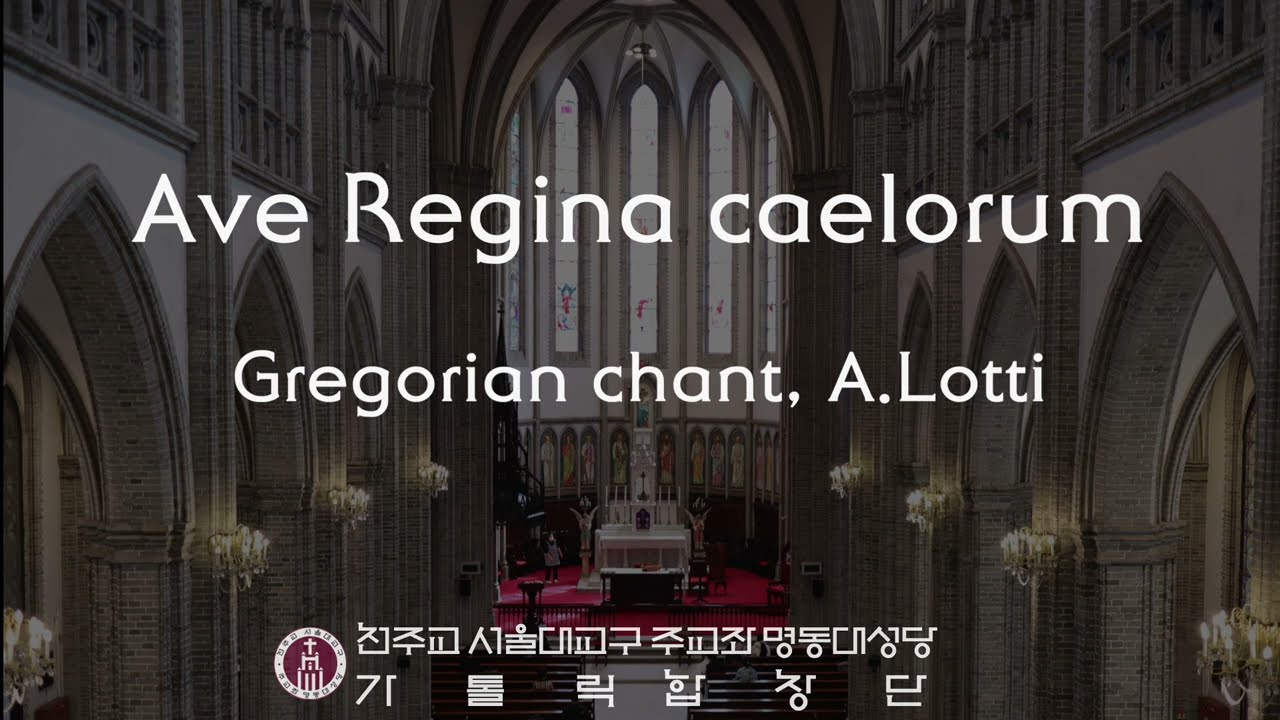 [서울대교구 주교좌 명동대성당 가톨릭합창단] Ave Regina caelorum(Gregorian chant), Ave regina(Antonio Lotti)
