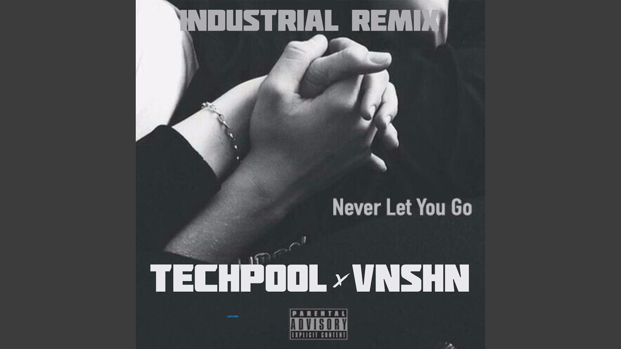 Never Let You Go (feat. VNSHN)