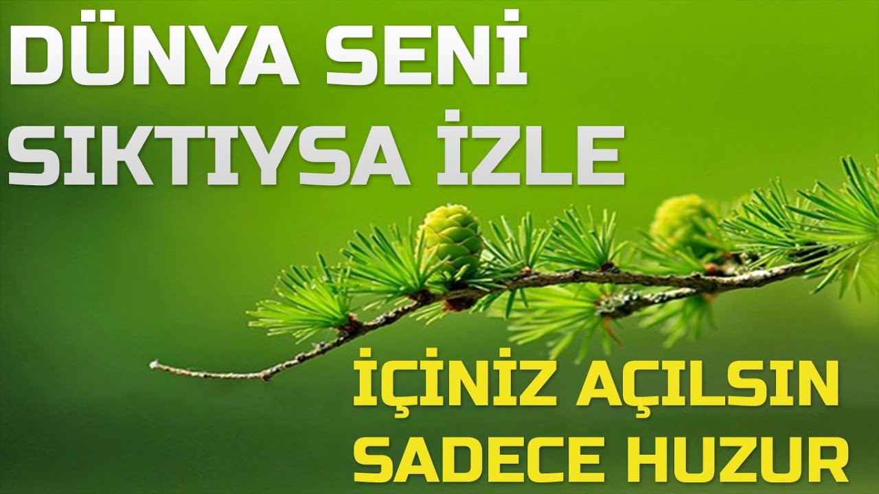 Huzur Verici Hikmetli Sözler (Cengiz Numanoğlu)