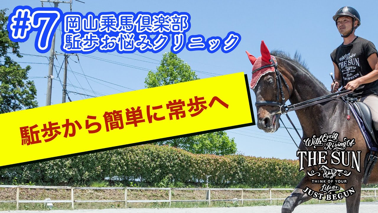 #7 駈歩から簡単に常歩にするポイント【乗馬上達 駈歩集中クリニック】 - 岡山乗馬倶楽部-