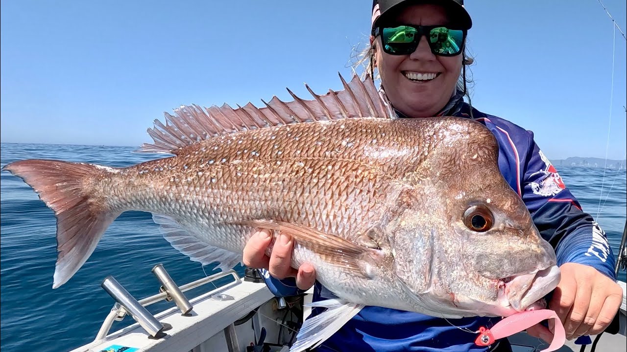 Gold Coast snapper - Slow jigging & soft plastics - 07/10/24