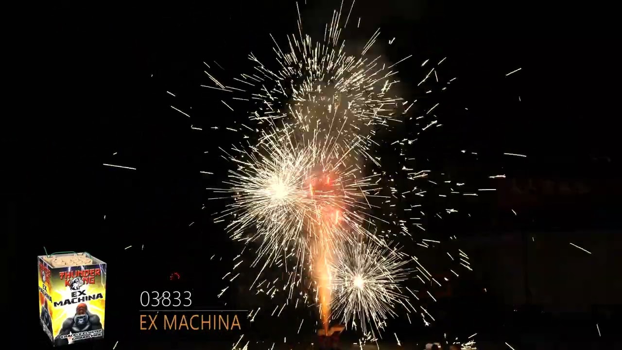 Ex Machina   03833  CAT F2  Lesli Neuheit