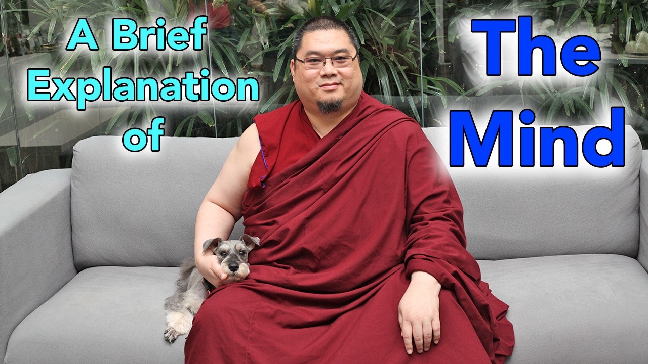A Brief Explanation of the Mind (with subtitles)