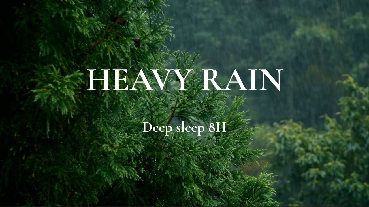 Heavy Rain in the Jungle at Night (8 Hours) | Natural White Noise for Deep Sleep