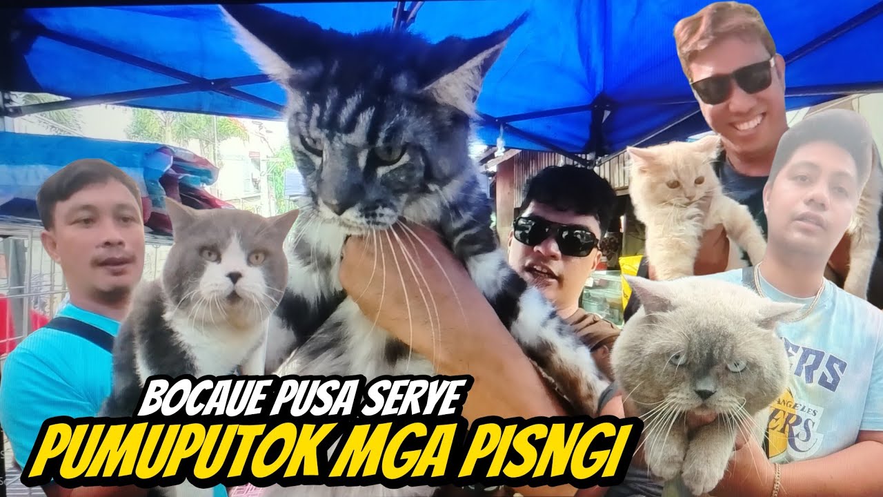 DECEMBER SALE SA BOCAUE | BOCAUE PUSA SERYE | DECEMBER 19,2025