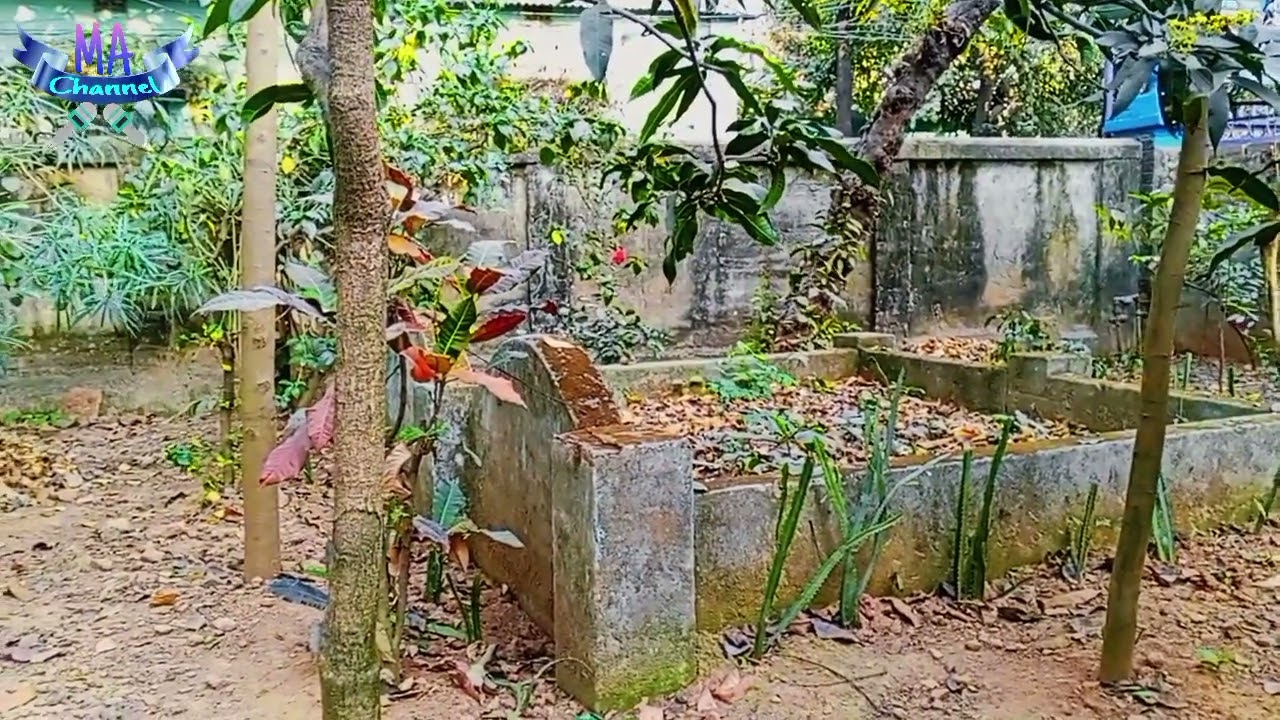 আমাদের শেষ ঠিকানা।  মোহাম্মদ আলী। 