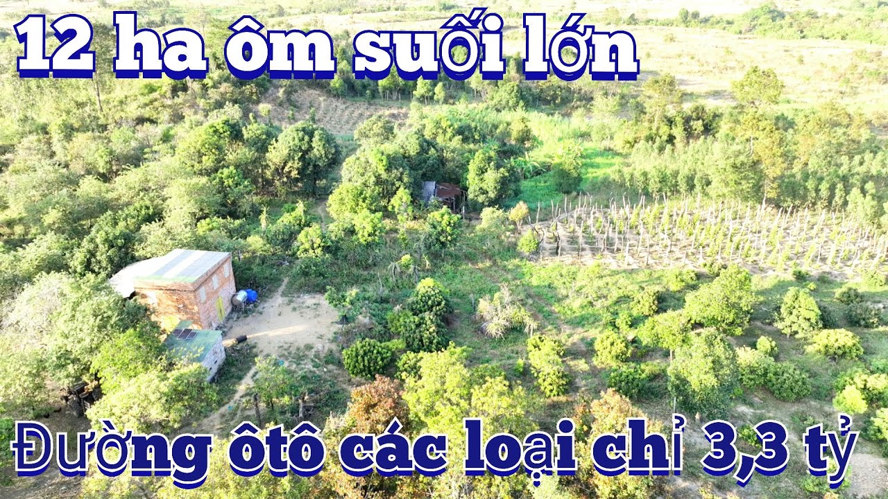12 ha ôm suối lớn làm trại hoặc nhà vườn quá oke. Đất đẹp gia lai giá 3,3 tỷ nguyên lô