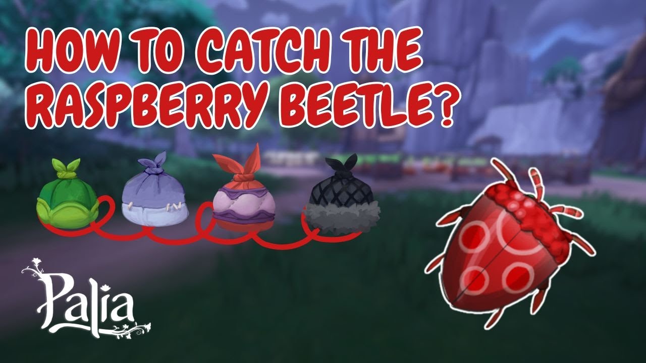 PALIA - Raspberry Beetle Location + Fastest Method