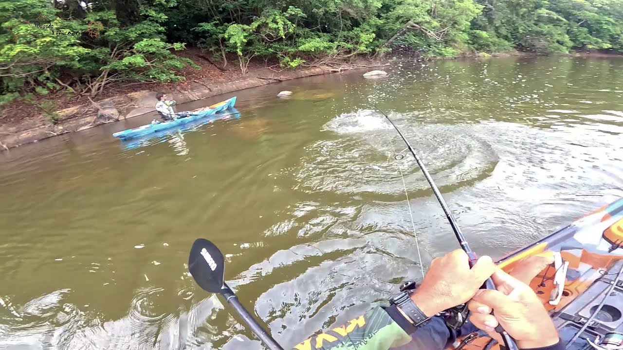 ЖИВОТНОЕ ПРОГЛОТИЛО ПАКУ ВЕСЬ И УХОДИЛО ЗА ЛИНИЕЙ. Рыбная ловля!