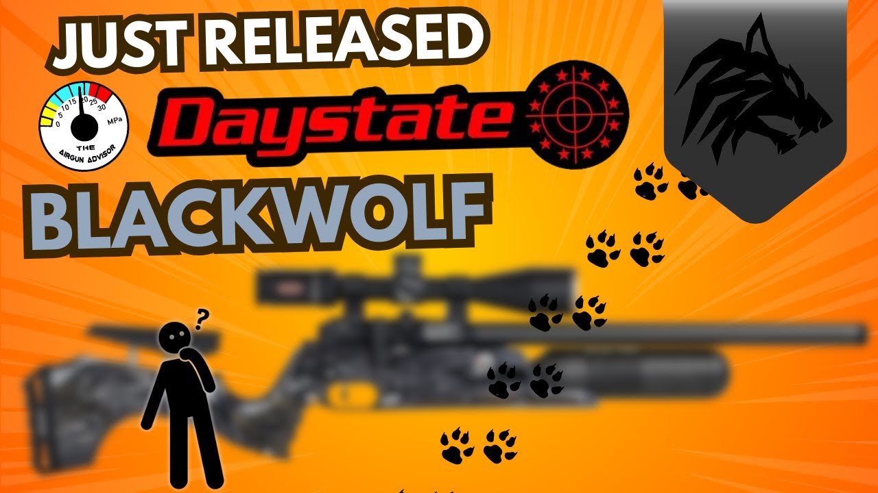 Только что выпущенный Daystate BLACKWOLF полностью проверен