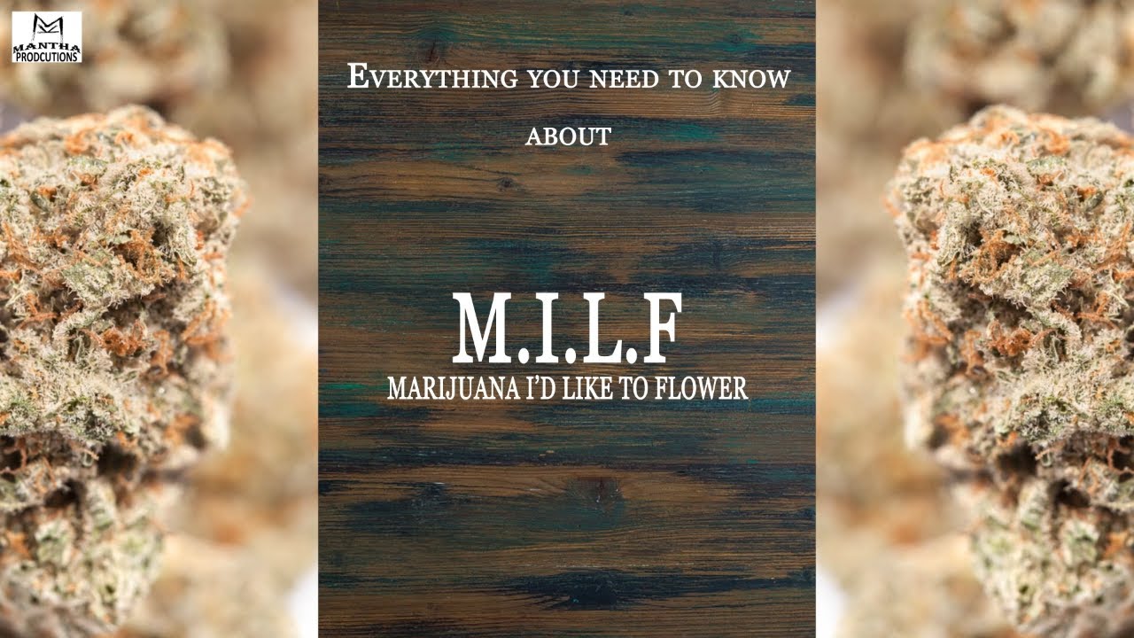 MILF | Best Buds Strain Spotlight