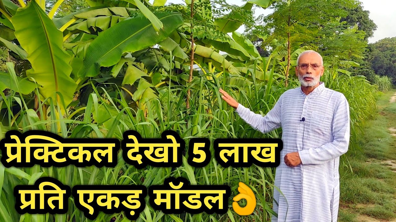 सिर्फ कहा नहीं करके दिखाया बनाया सफल मिश्रित जैविक खेती मॉडल👍