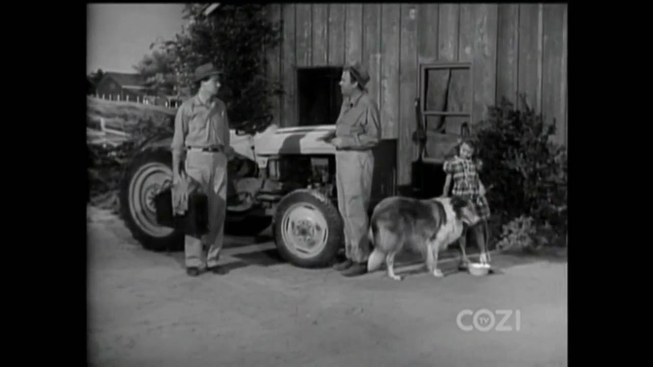Lassie - Episode #88 - "Lassie's Day" - Season 3 Ep. 23 -   02/10/1957