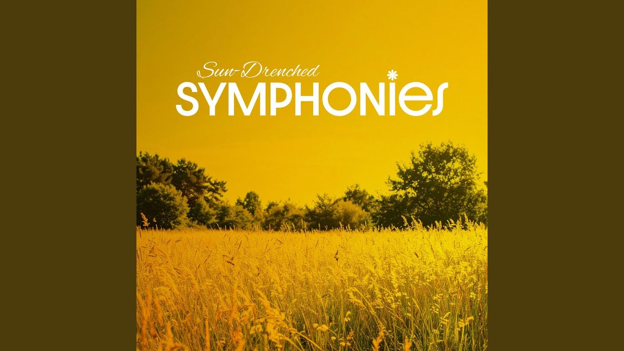 Symphony No. 5 in B-Flat Major, D. 485: II. Andante con moto