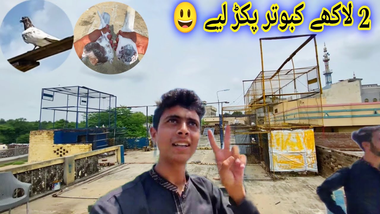 2 Lakhy Kabootar Ek Sath Pakr Liya ❤️
