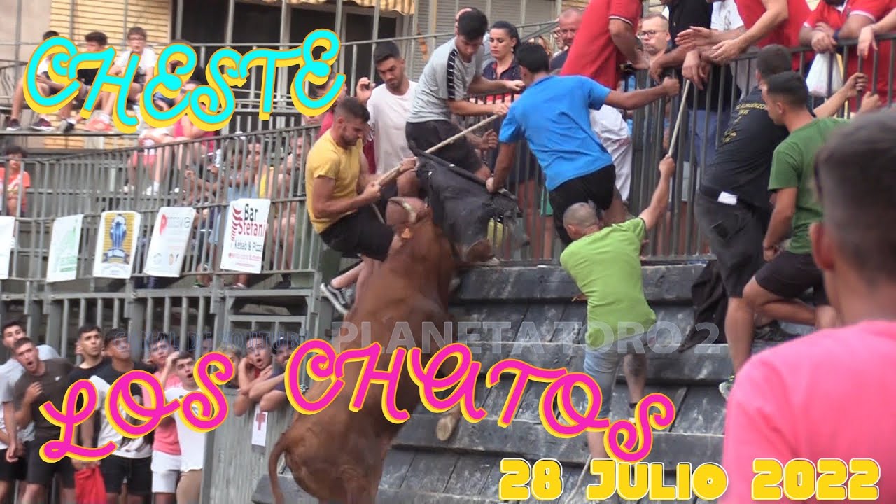 2022 07 28 CHESTE LOS CHATOS