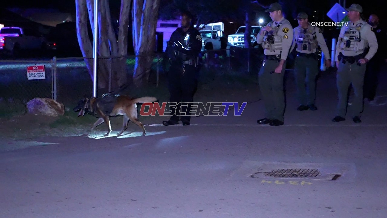 Stabbing, Suspect Found, VISTA, CA