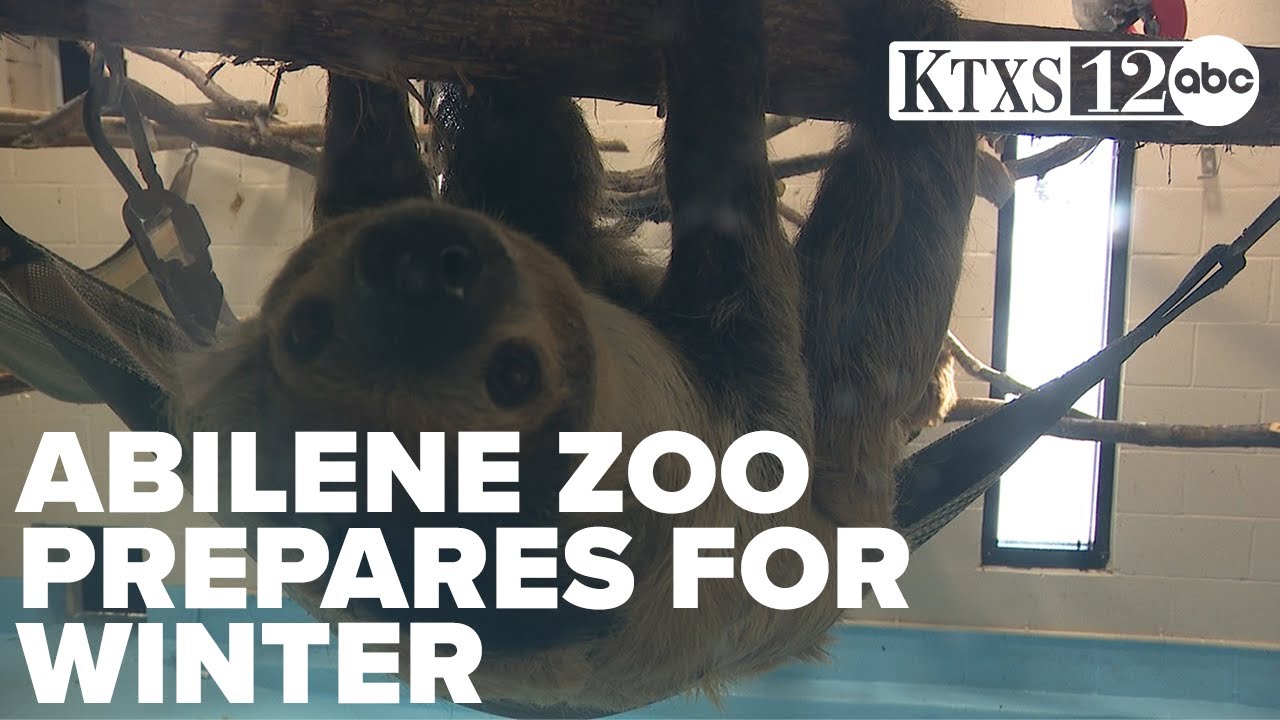Abilene Zoo prepares for winter weather with heated habitats and dedicated staff