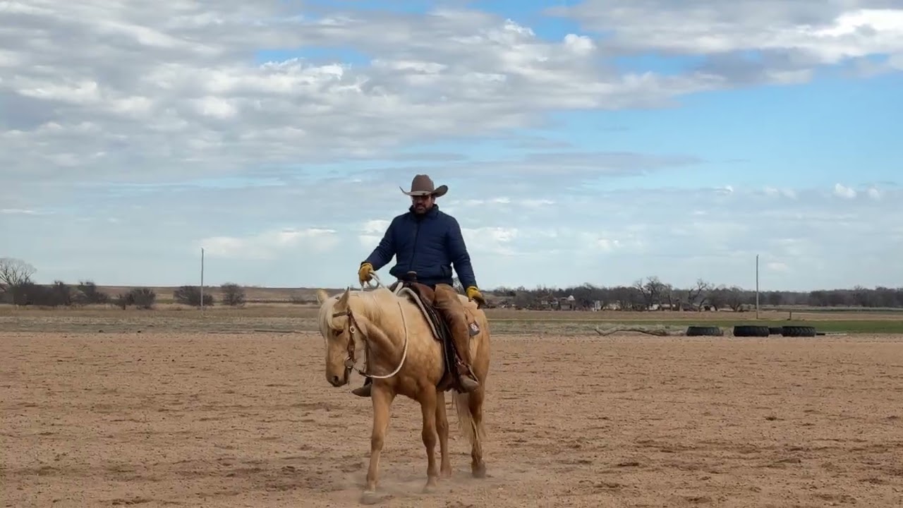 Connecting your hands to the hind feet