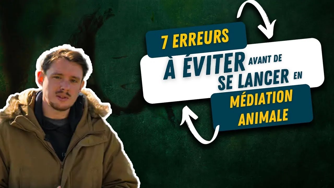 Les 7 erreurs à éviter avant de se lancer en médiation animale