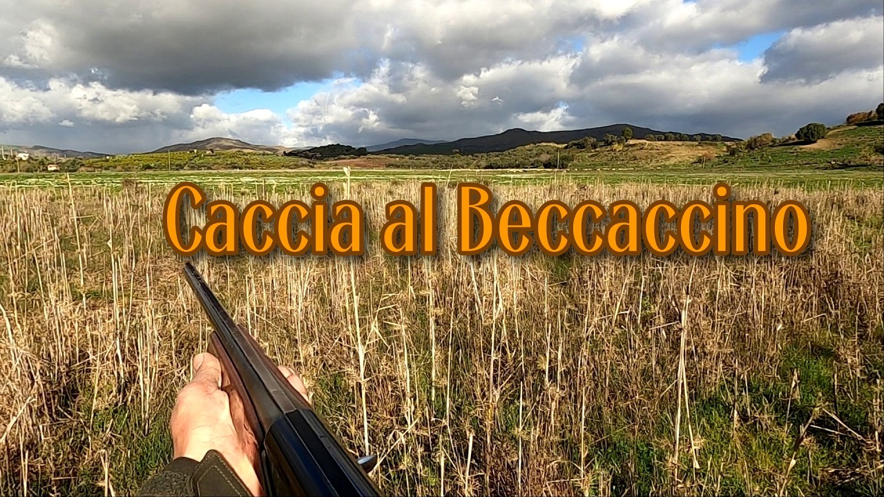 Caccia al Beccaccino con sorpresa imprevista....non è Lapo il cane da Beccaccini - Chasse au Snipe