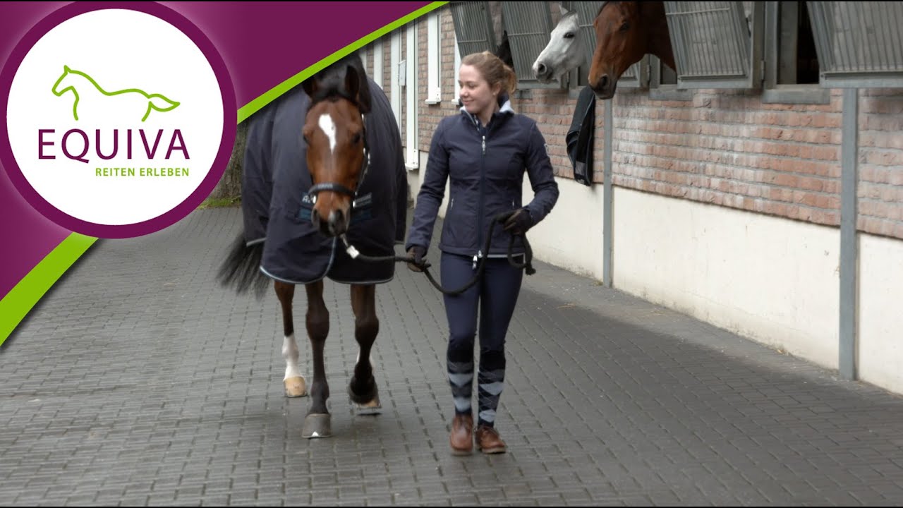 EQUIVA Basics: Das Pferd f&uuml;hren