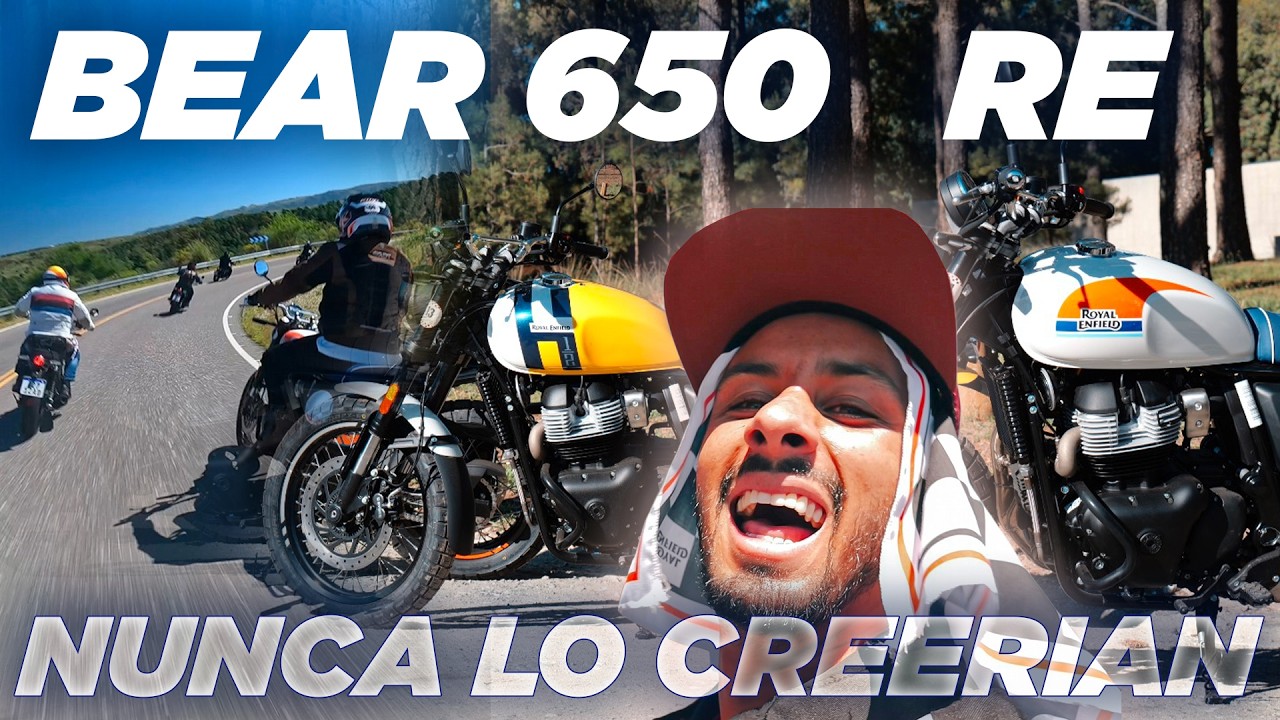 Probamos la NUEVA Bear 650 en Argentina 🔥 ¿La MEJOR Royal Enfield?