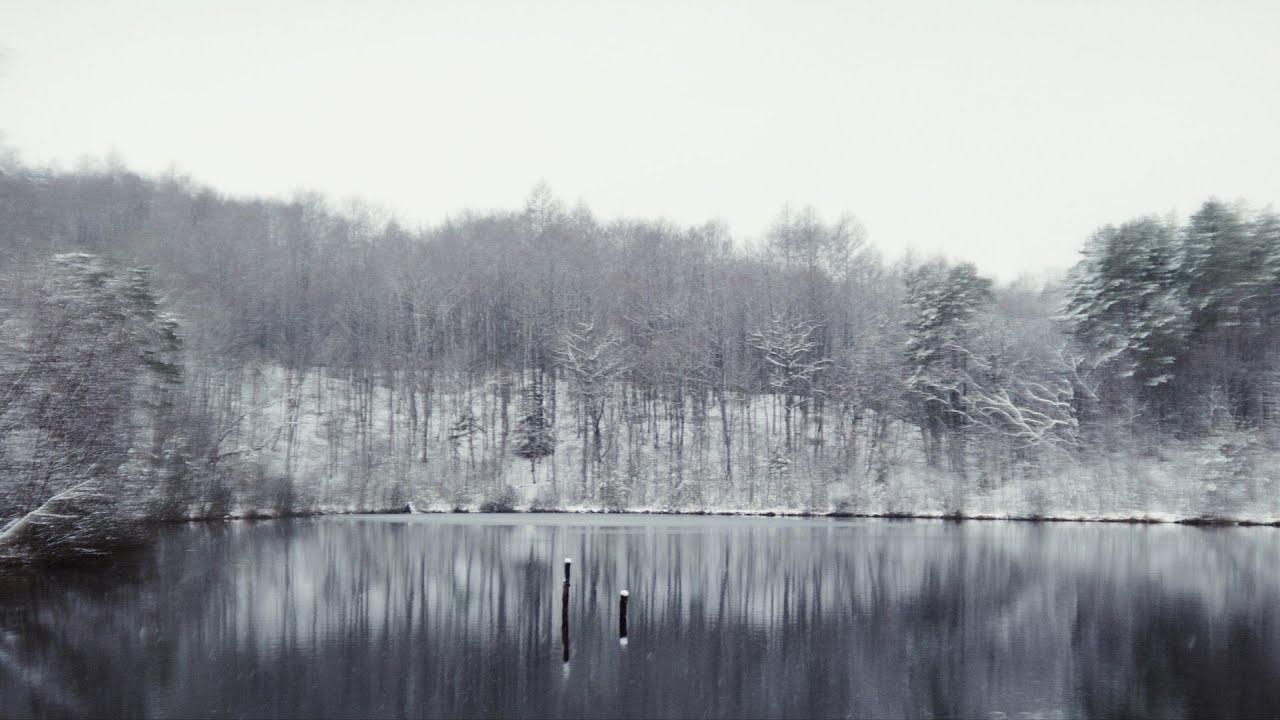 ANAMORPHIC WINTER | SLR Magic Anamorphot-40 1.33x with Helios & R6